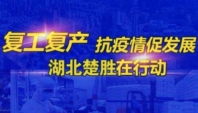 嚴防疫情、有序復工 湖北楚勝成為隨州首批復產企業(yè)之一